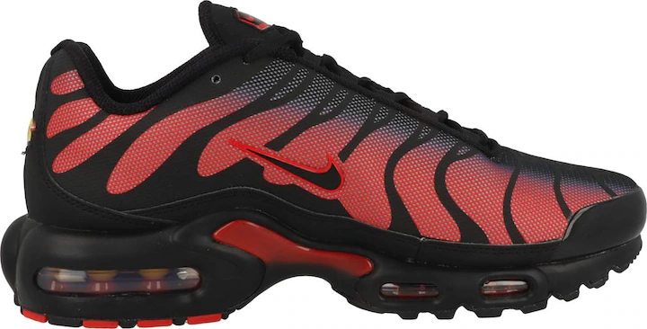 Air Max Plus - 62505