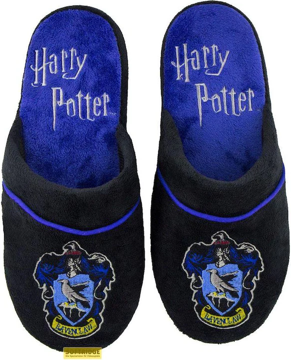 Harry Potter Ravenclaw