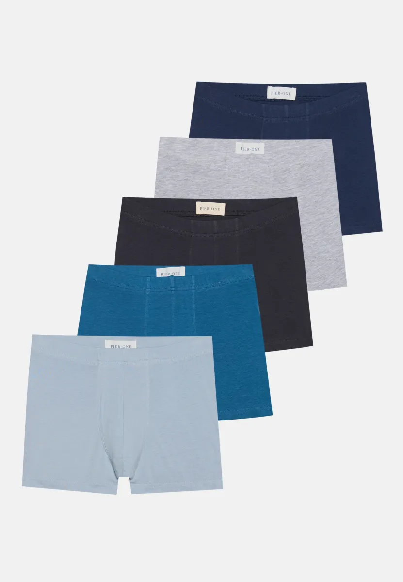 5 PACK - Boxer Briefs - light grey/light blue