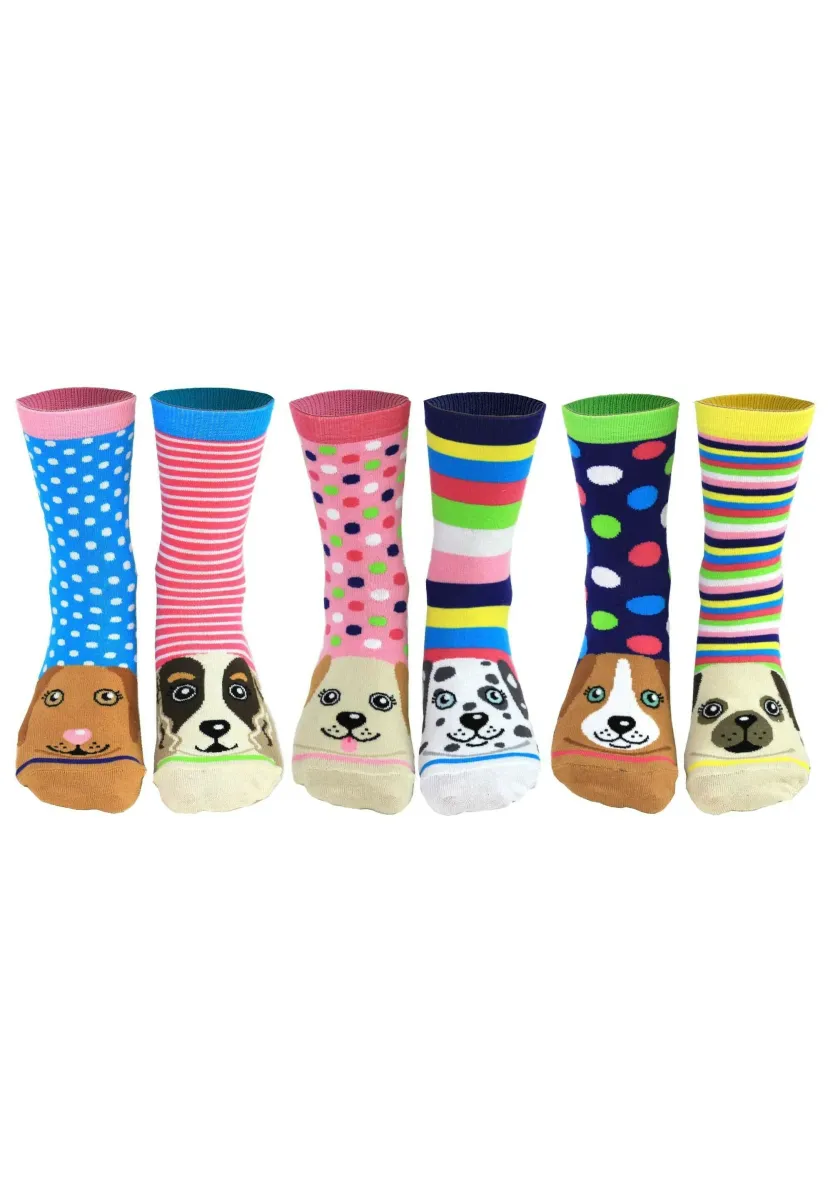 6 PACK-MOTTOMOTIVE - Socken - pawsome