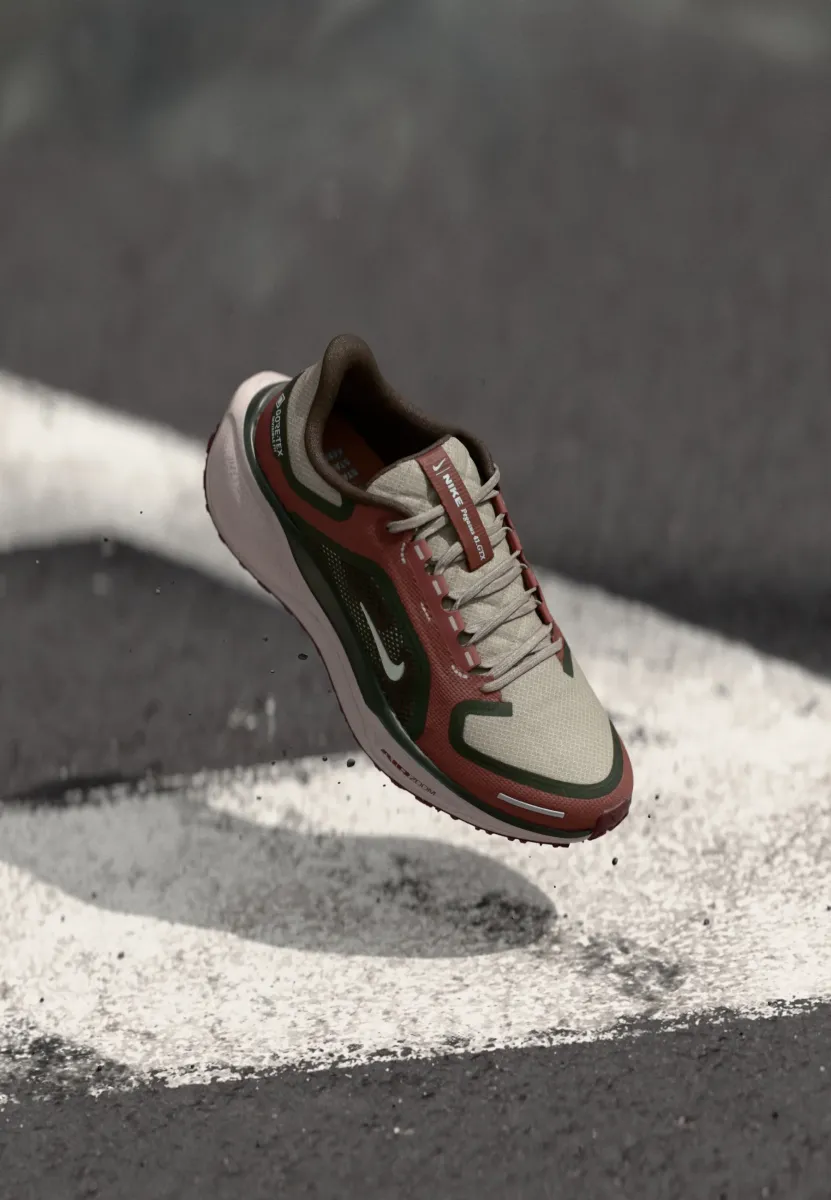 AIR ZM PEGASUS 41 GTX - Laufschuh Straße - malt/barely green/sequoia/red sepia/burgundy crush/platinum violet