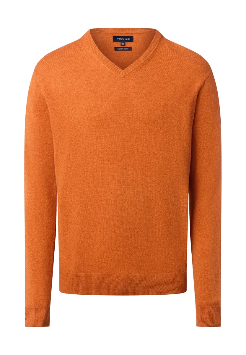 ANDREW JAMES  - Strickpullover - orange