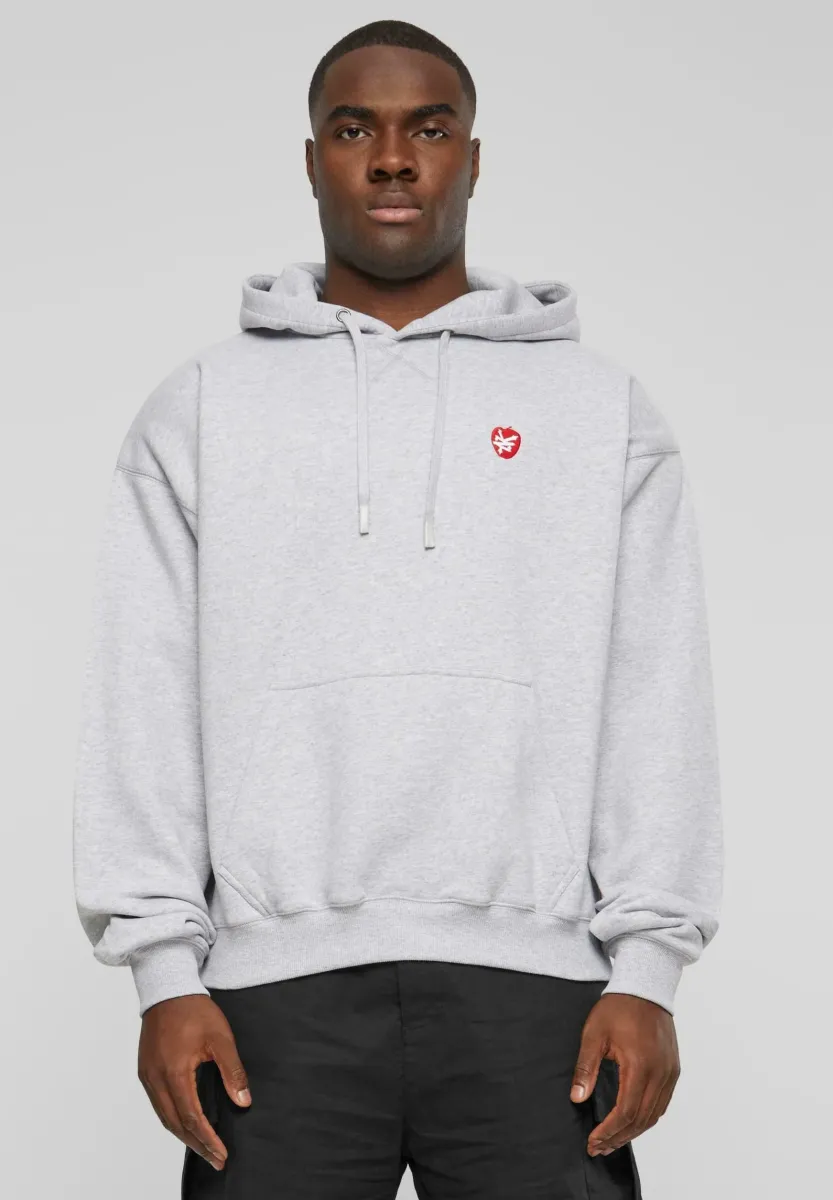 APPLE - Kapuzenpullover - grey