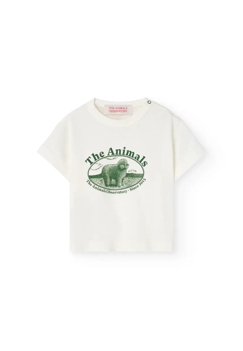 BABY PANGOLIN - T-Shirt print - white