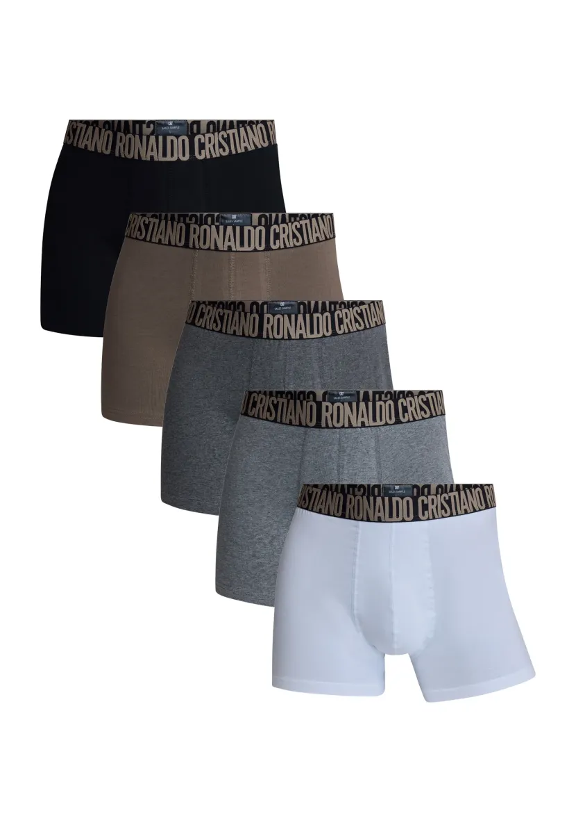 BASIC 5-PACK - Boxer Briefs - bunt