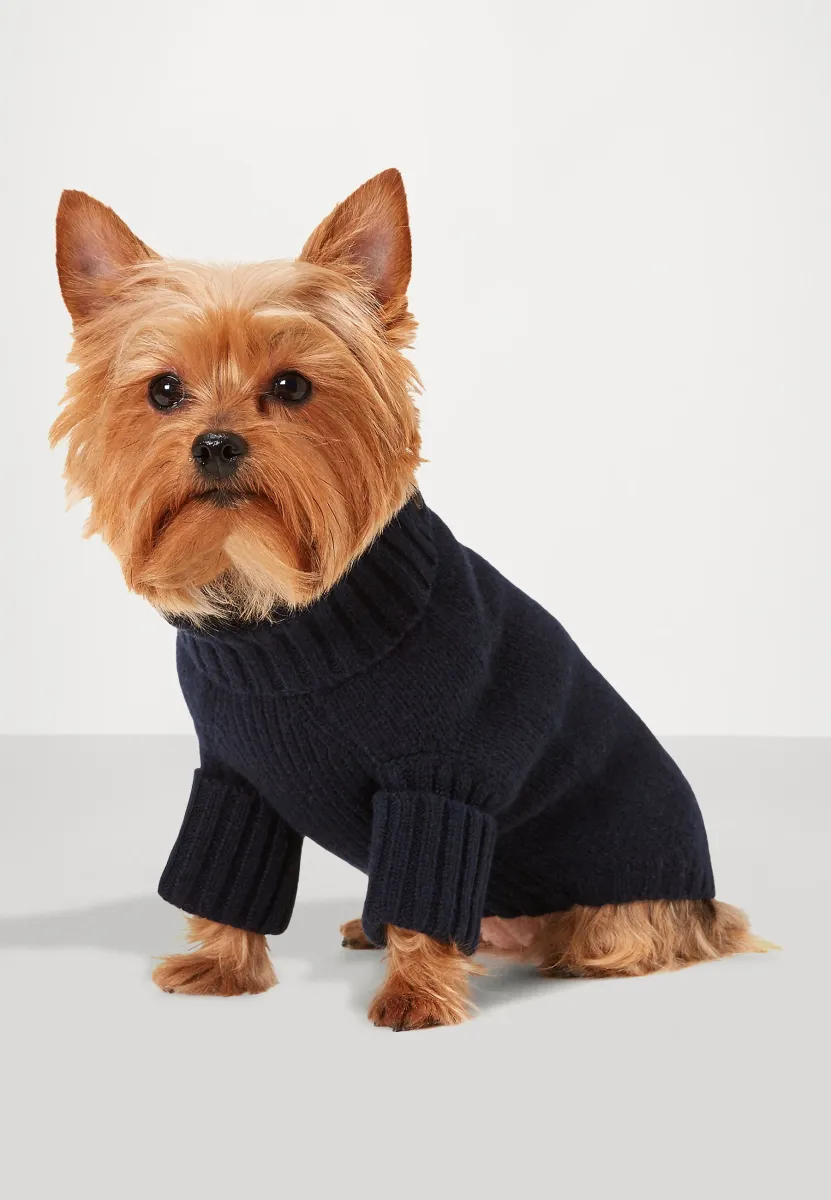 BEAR DOG JUMPER UNISEX - Tierbedarf - hunter navy