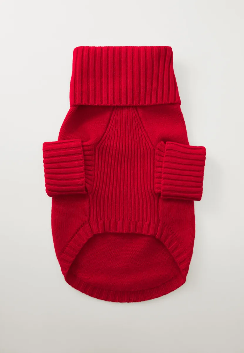 BEAR DOG JUMPER UNISEX - Tierbedarf - red