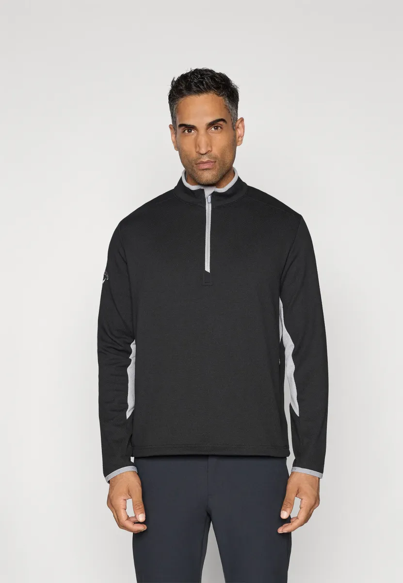 BLOCKED 1/4 ZIP PULLOVER - Sweatshirt - caviar