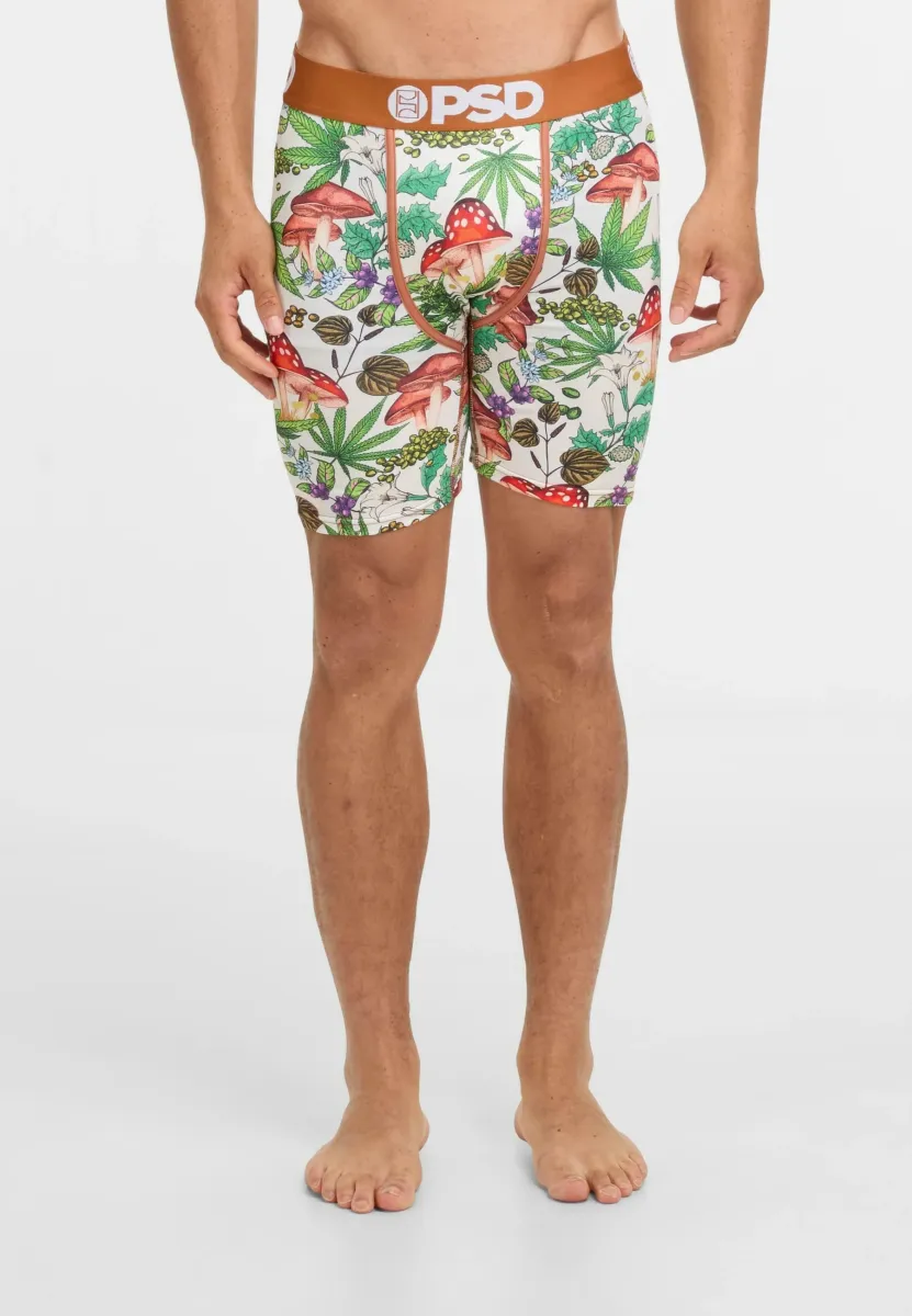 Boxer Briefs - multicolor