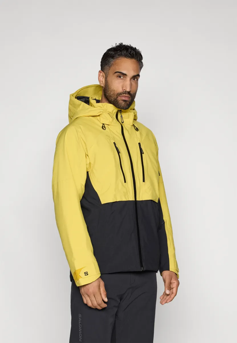 BRILLIANT 2.0 JACKET - Skijacke - cress green/deep black