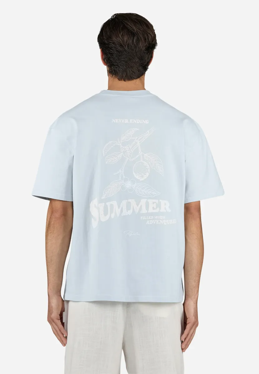 CABERRY TEE - T-Shirt print - washed dream blue
