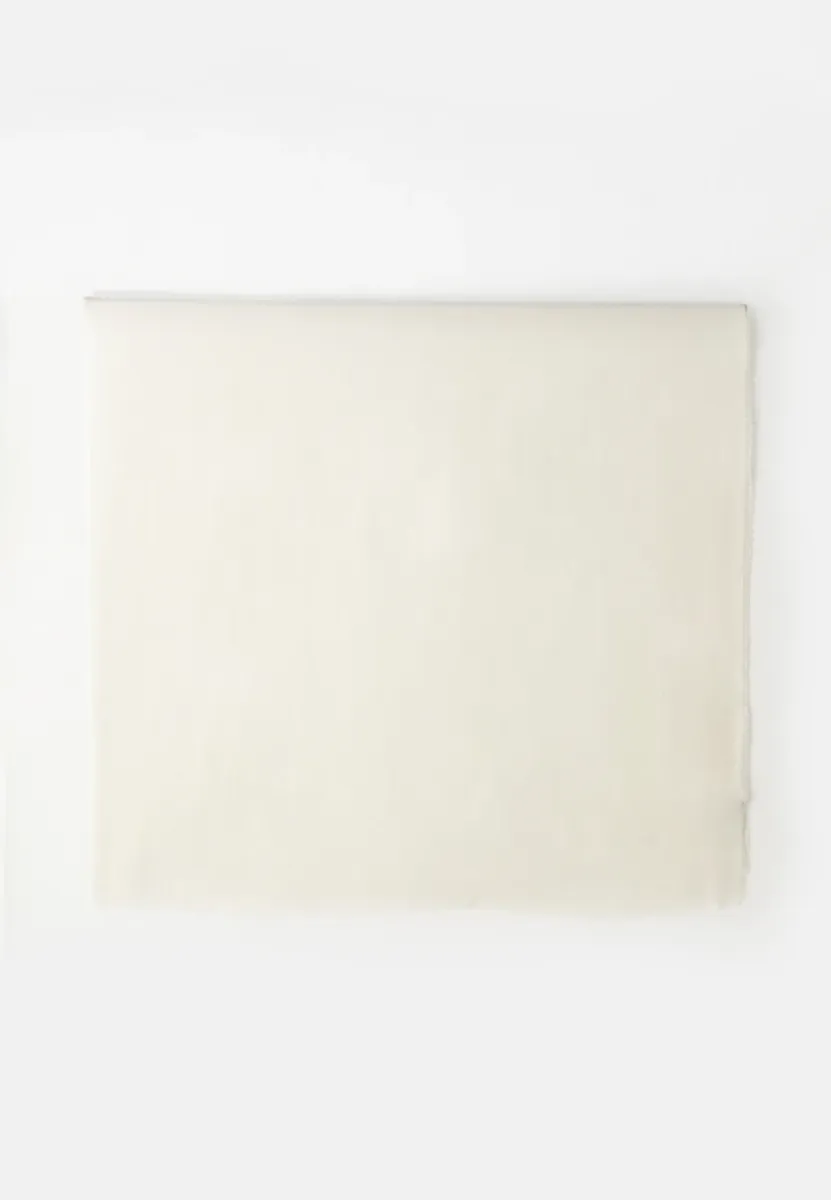 CARRIE SCARF NOOS - Schal - birch