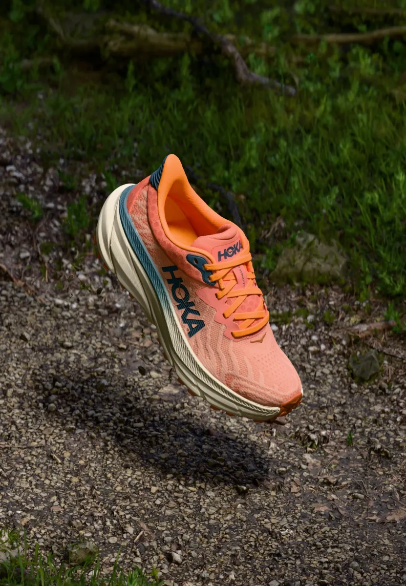 CHALLENGER 7 - Laufschuh Trail - feldspar/birch