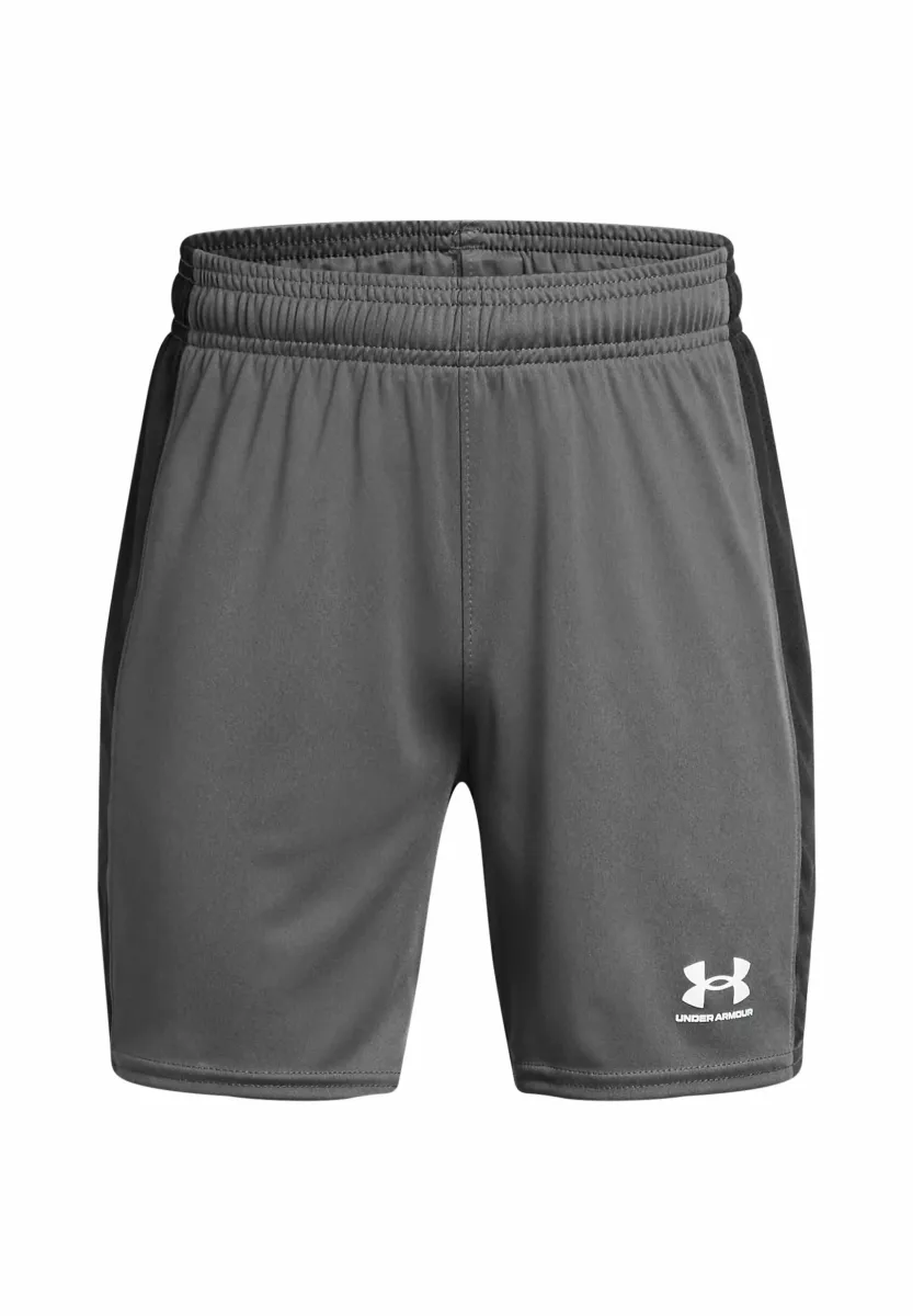 CHALLENGER  - Kurze Sporthose - castlerock