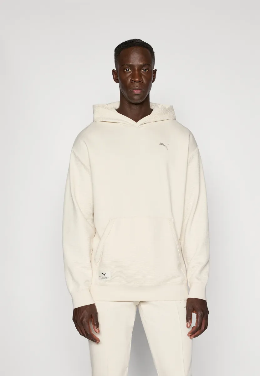 CLASS RELAXED PINNACLE - Kapuzenpullover - alpine snow