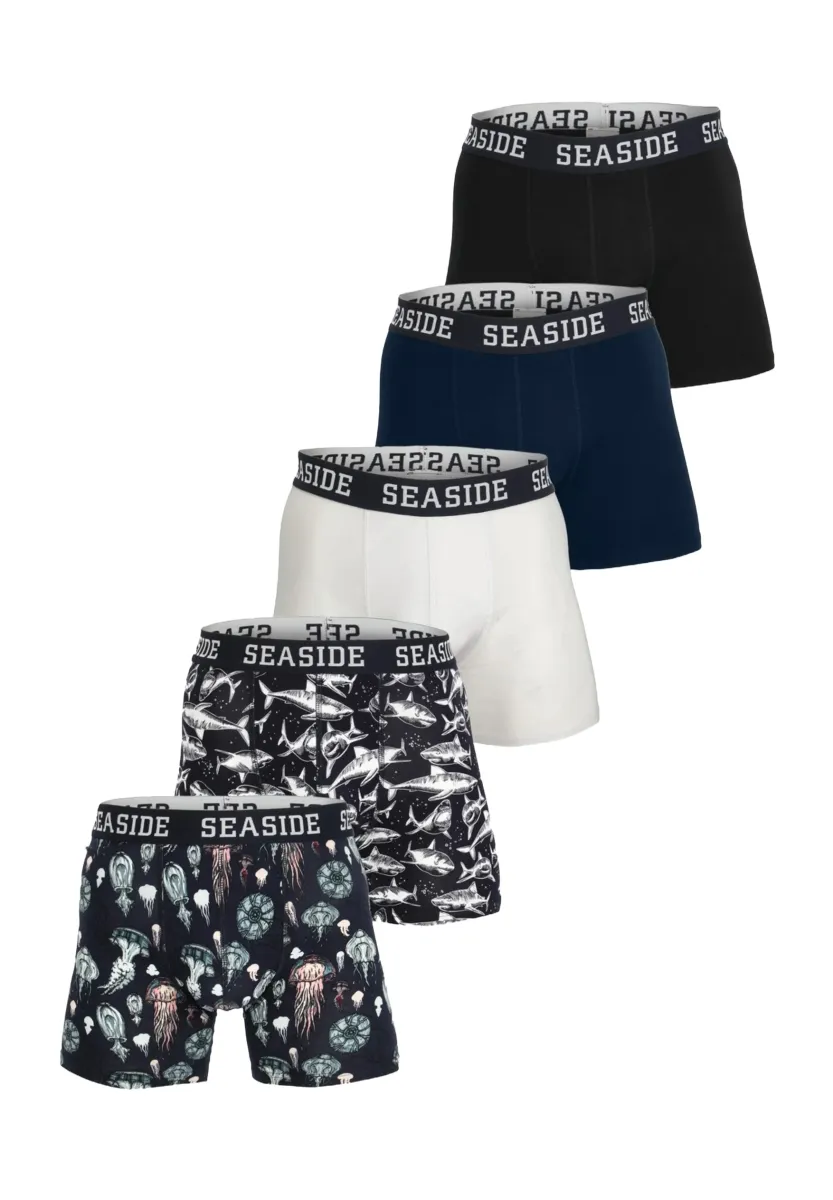 CLASSI 5 PACK - Boxer Briefs - navy ocean mix