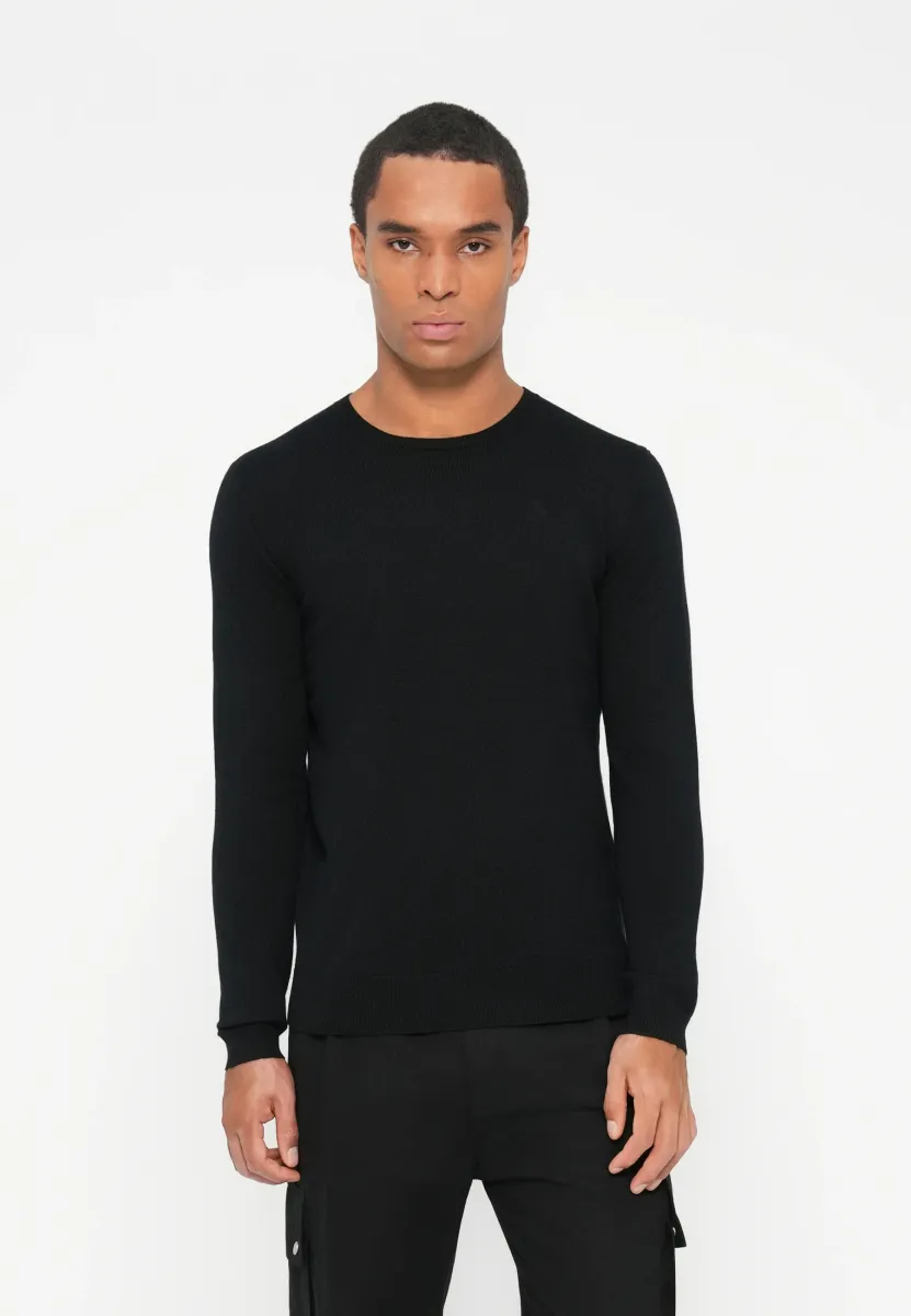 CREW NECK - Strickpullover - black