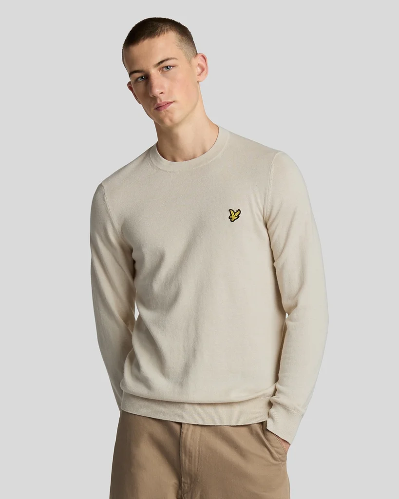 CREW NECK  - Strickpullover - cove