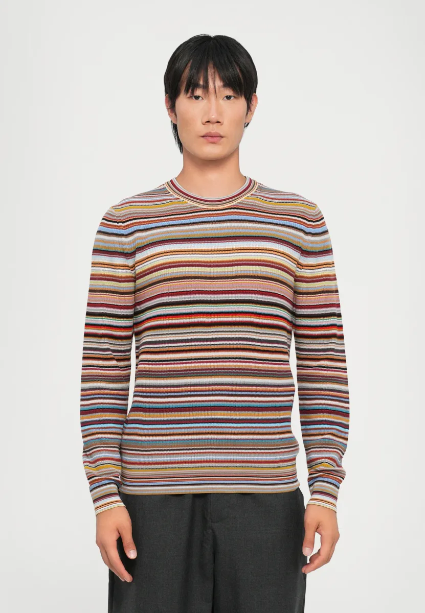 CREW NECK - Strickpullover - multi coloured