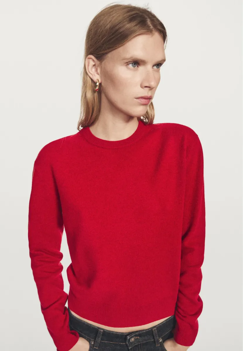 CREW NECK SWEATER - Strickpullover - red