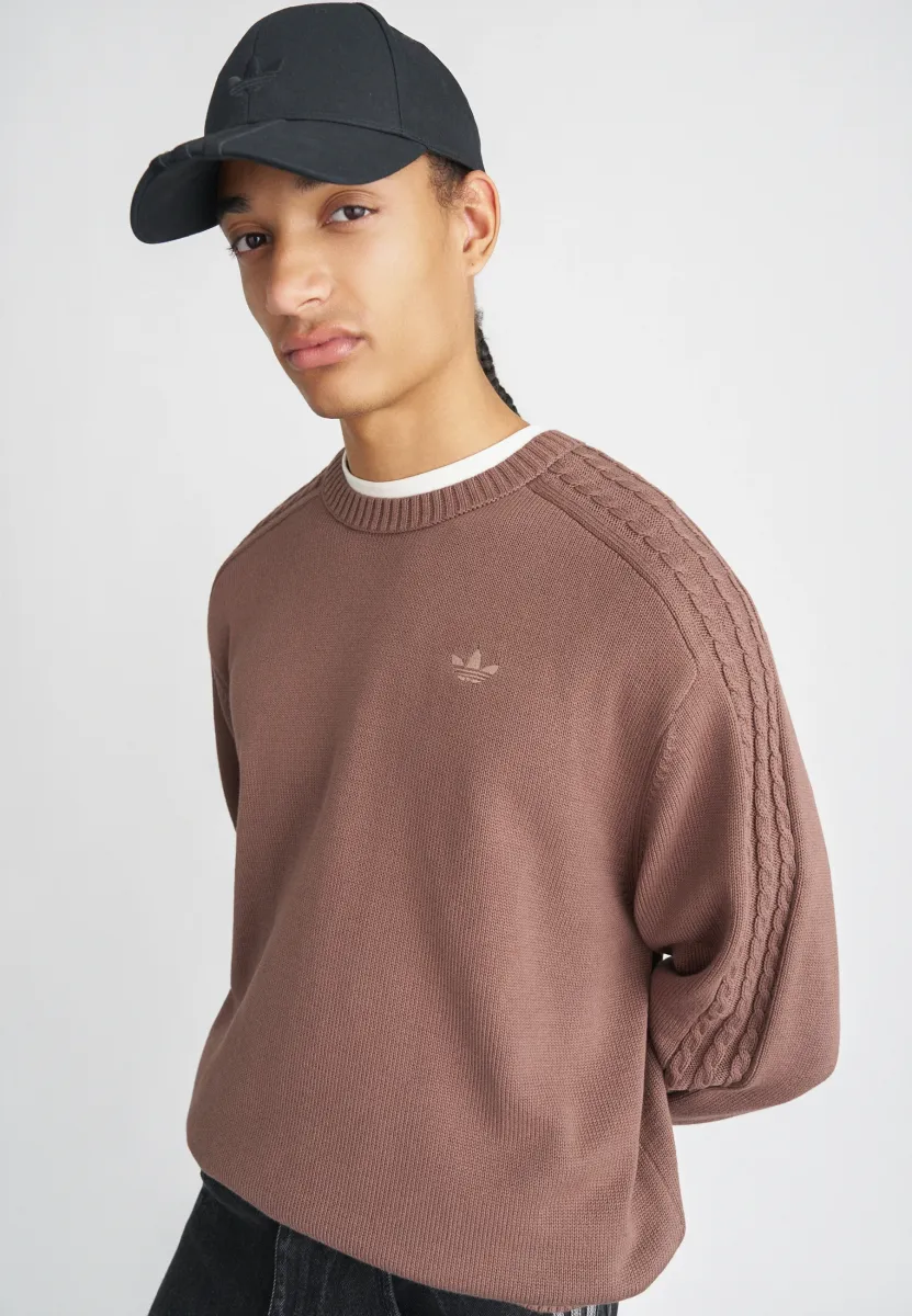 CREW - Strickpullover - earth strata