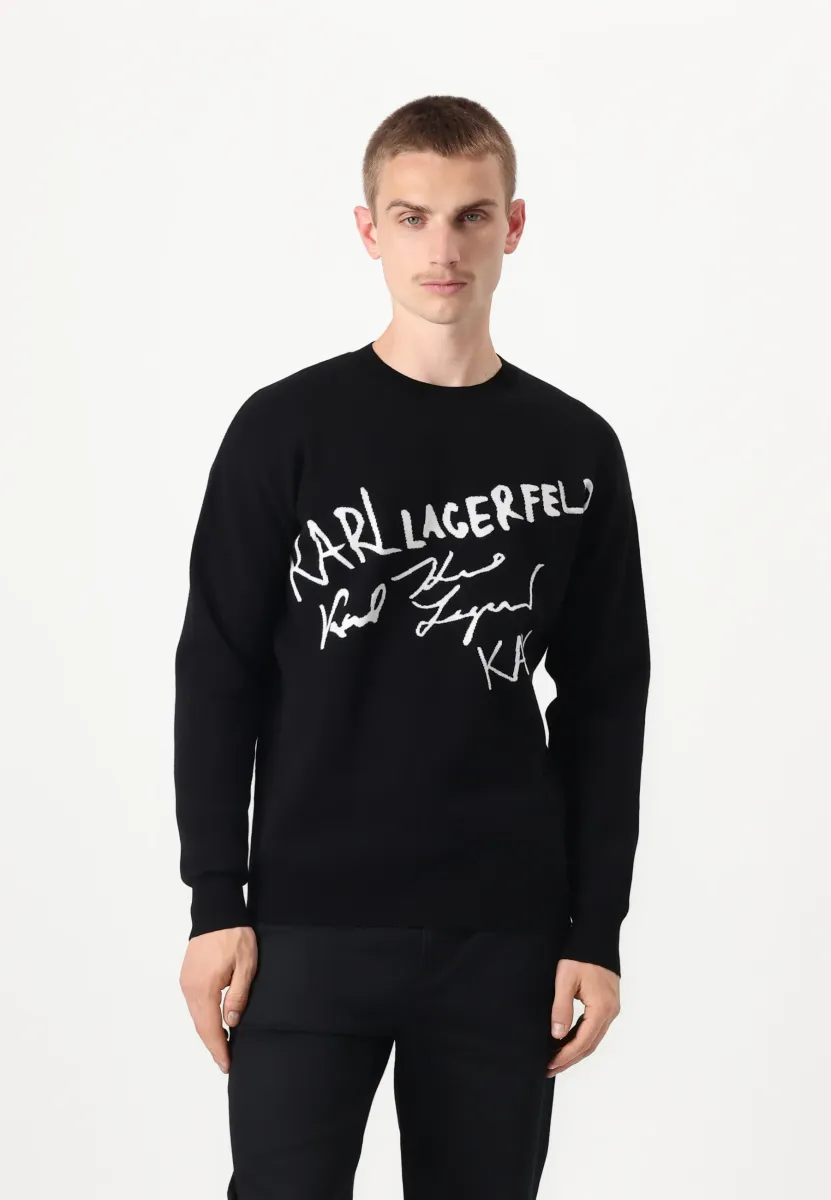 CREWNECK - Strickpullover - black