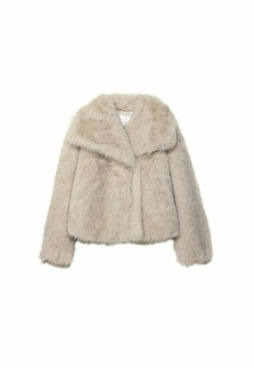 CROPPED  - Winterjacke - stone