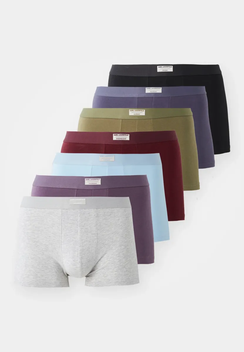 DAYS OF THE WEEK (PACK OF 7) - Boxer Briefs - multi-coloured