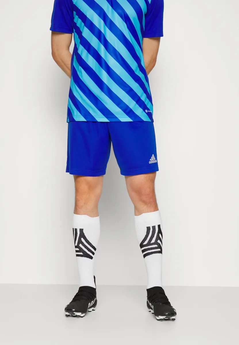 ENTRADA22 SHORTS - Kurze Sporthose - team royal blue