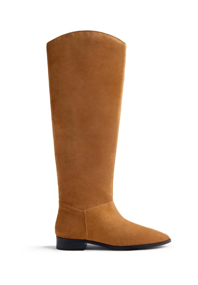 FOSTORIA - Stiefel - cuero