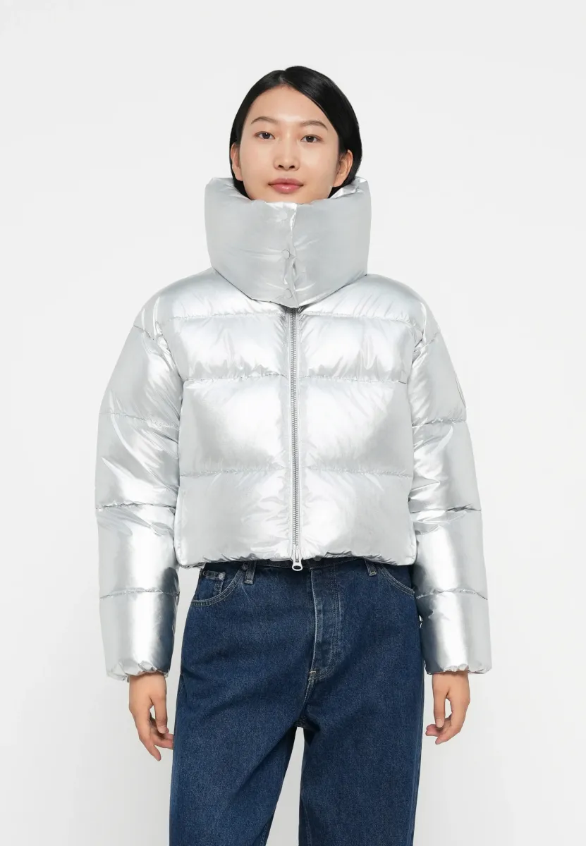 GISELLE - Winterjacke - silver coloured