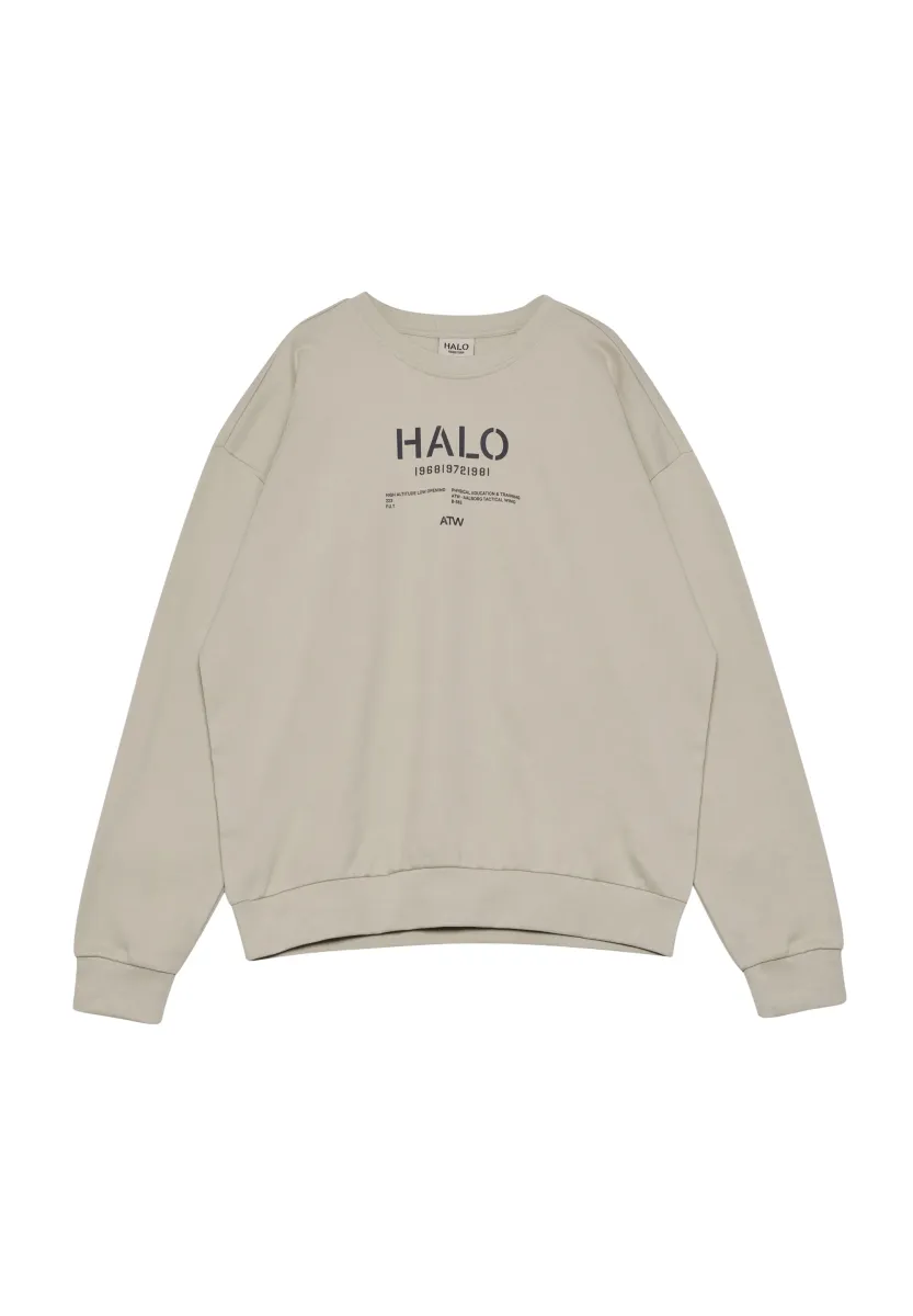 GRAPHIC BOXY CREW - Sweatshirt - oyster gray