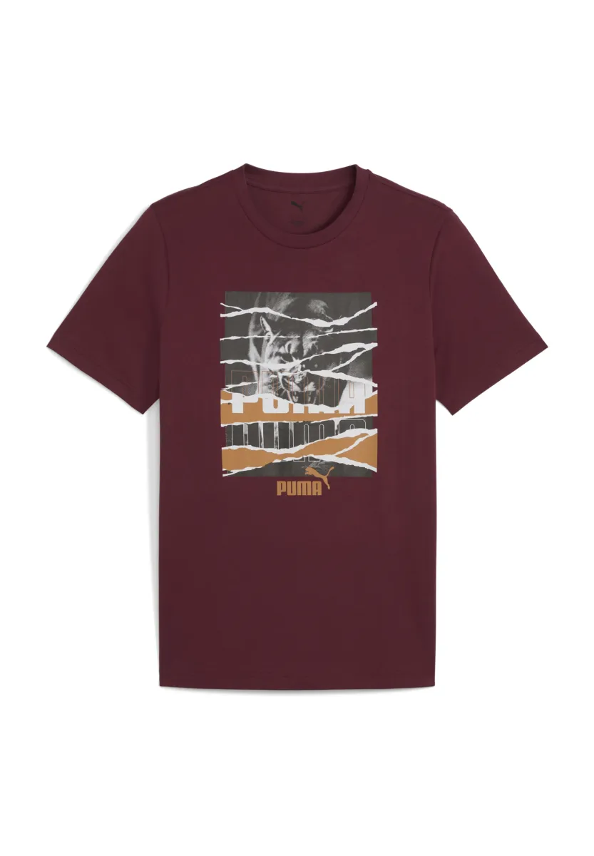 GRAPHIC PHOTO - T-Shirt print - ruby shimmer