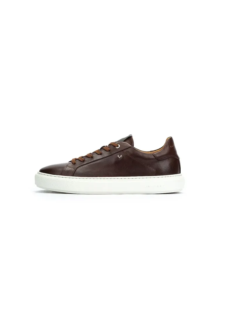 HASTINGS - Sneaker low - brown