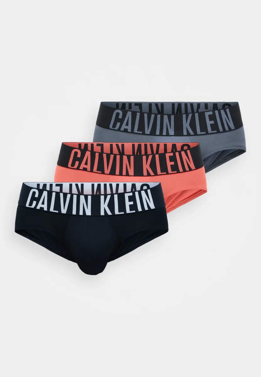 HIP BRIEF INTENSE POWER 3 PACK  - Slip - black/turbulence/vermillion brown