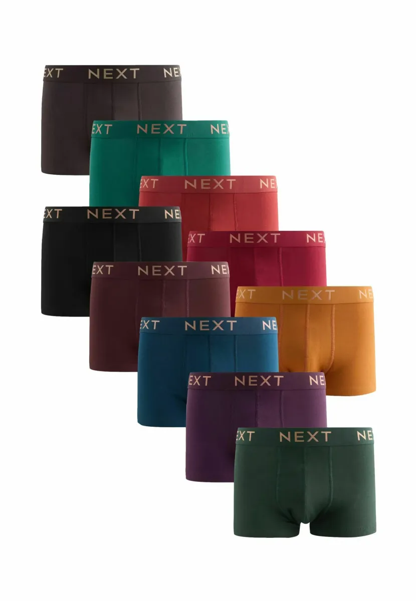 HIPSTERS TEN PACK - Boxer Briefs - rich colour