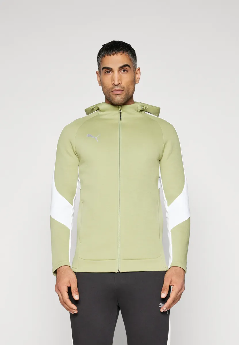 HOODED JACKET - Sweatjacke - calming green/silver/white