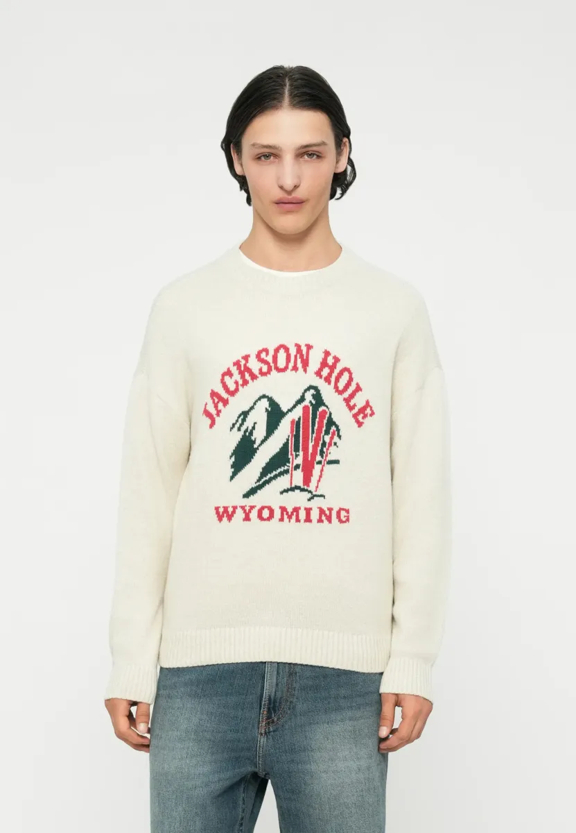INTARSIA CREW - Strickpullover - grey
