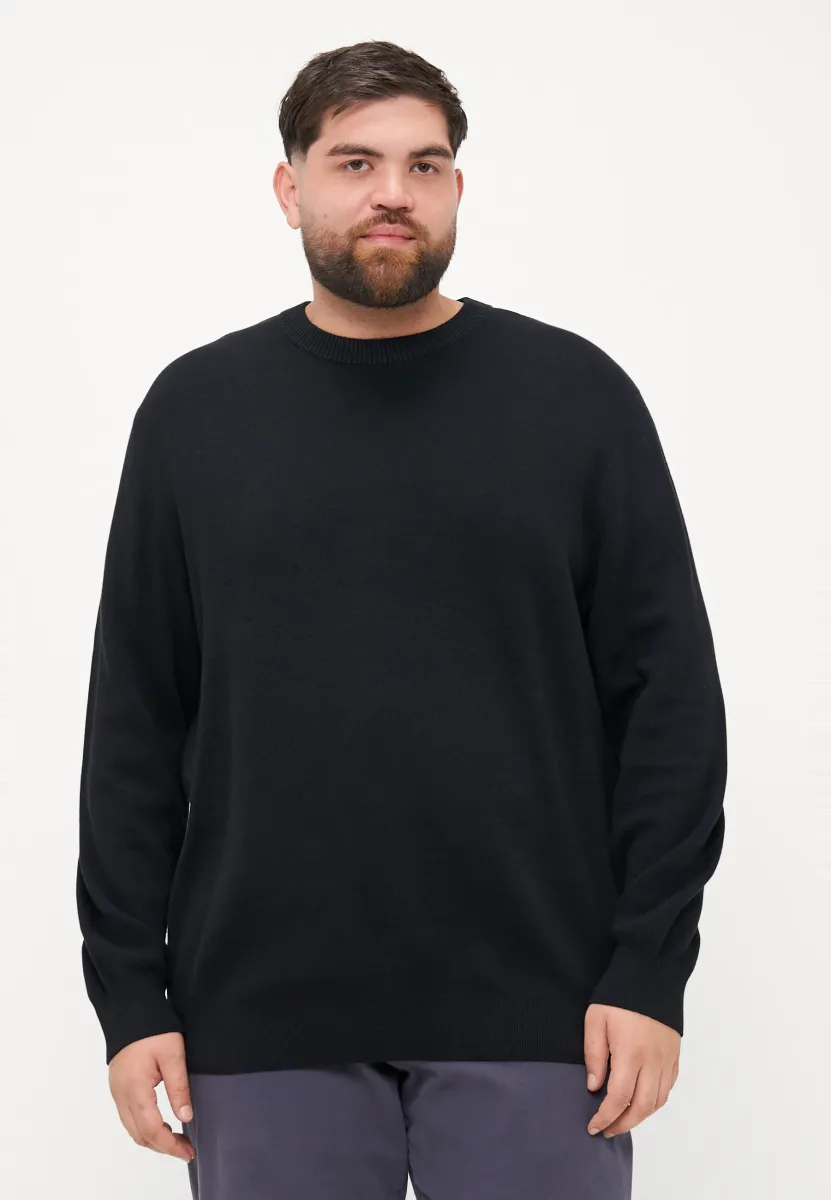 JCOSIGNAL CREW NECK - Strickpullover - black