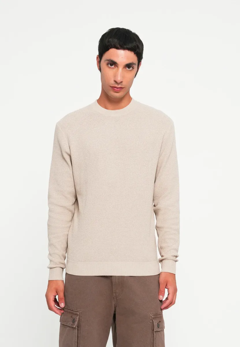 JCOTIER CREW NECK - Strickpullover - desert taupe