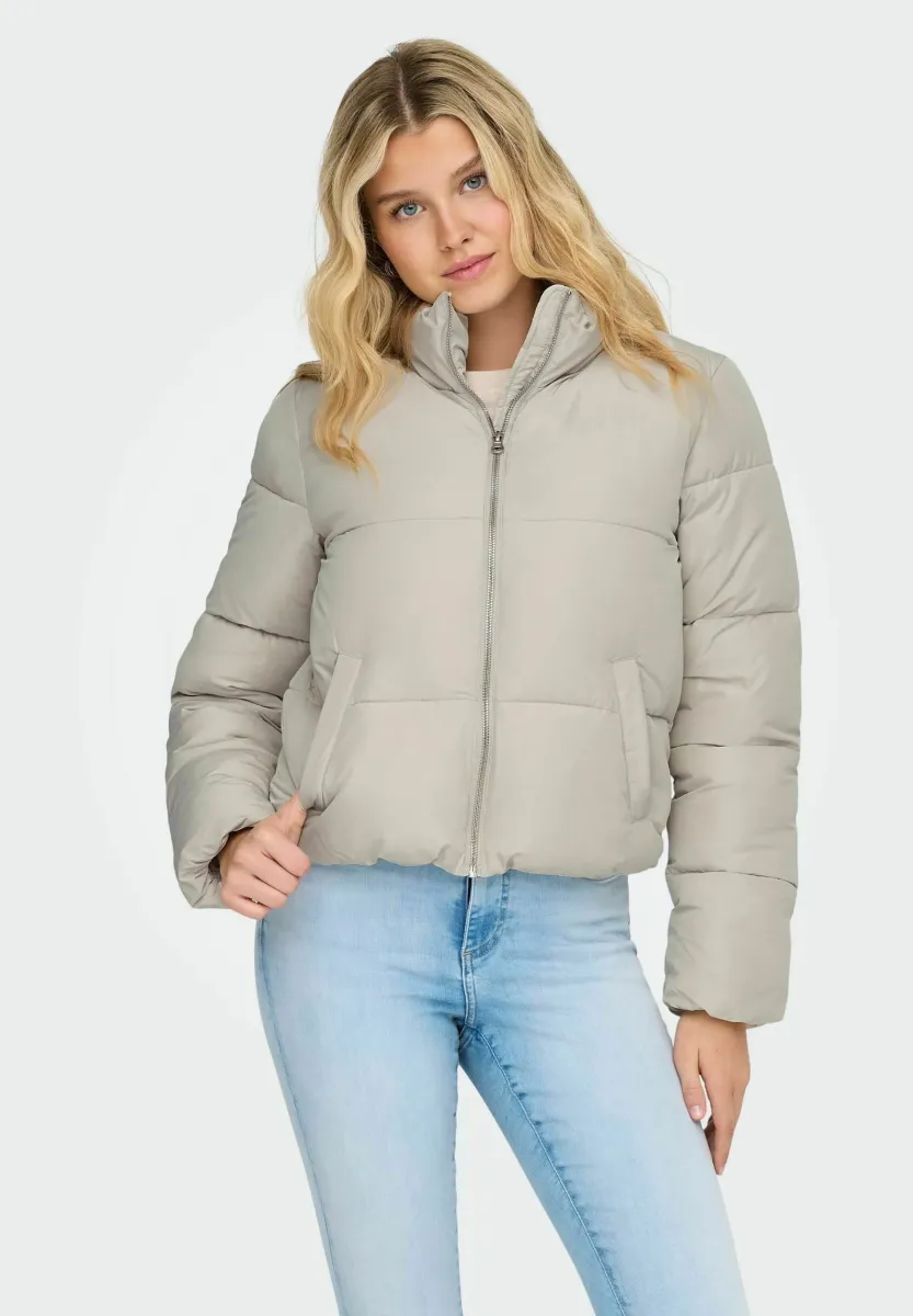 JDYNEWERICA PADDED OTW NOOS - Winterjacke - moonbeam