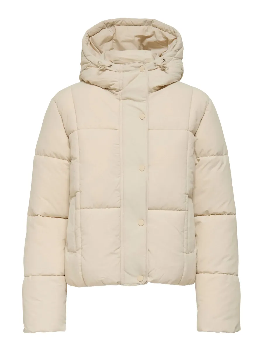 JDYWONDER HOOD PUFFER - Winterjacke - moonbeam