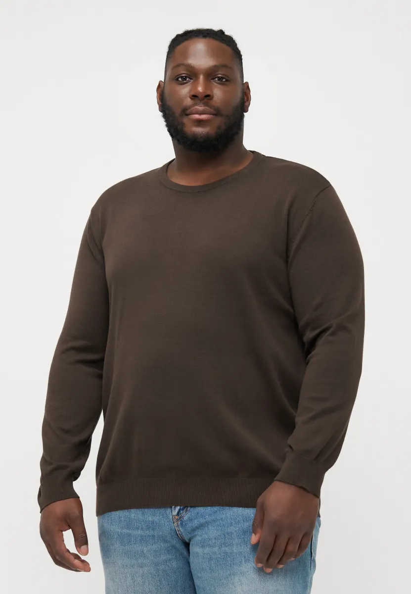 JJEBASIC CREW NECK - Strickpullover - delicioso