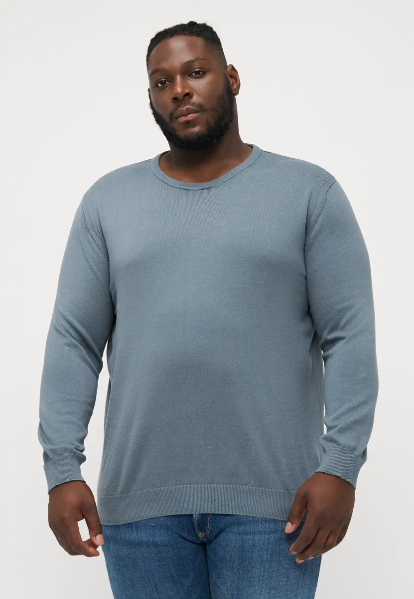 JJEBASIC CREW NECK - Strickpullover - stormy weather