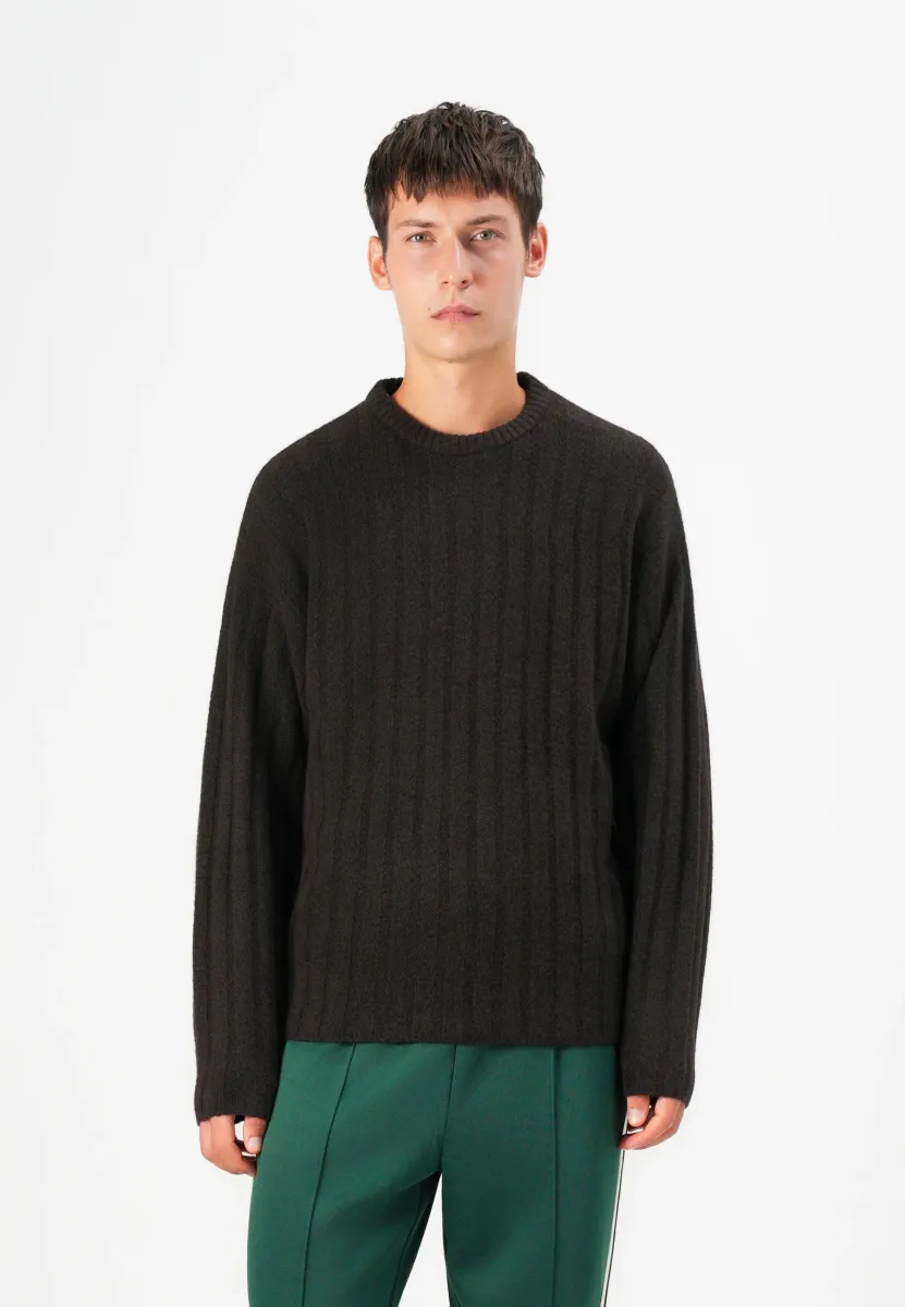 JJEBRADLEY CARTER CREW - Strickpullover - delicioso