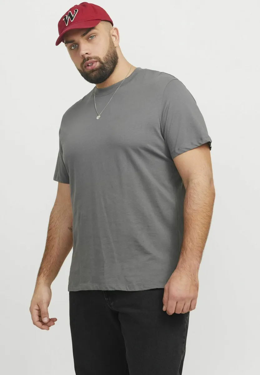 JJEBRADLEY - T-Shirt basic - castlerock