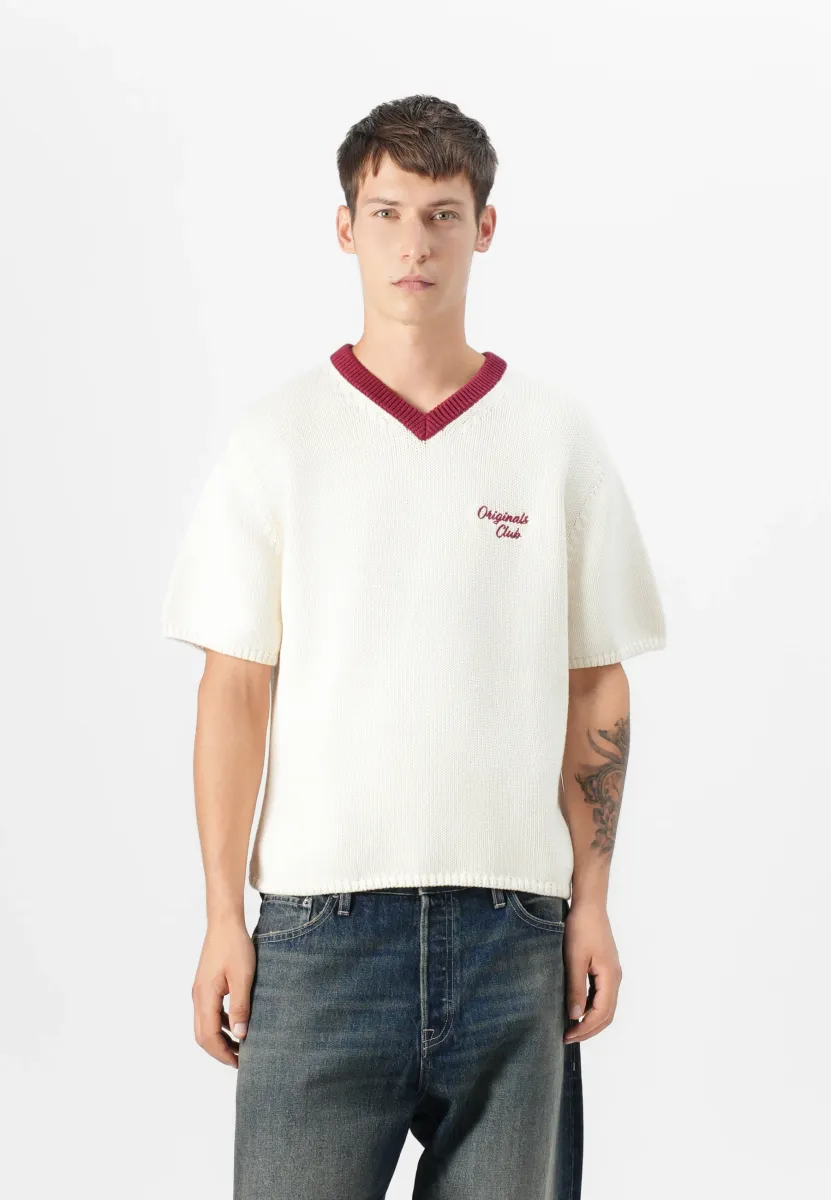 JORCAMBRIDGE V NECK - Strickpullover - sea salt/tibetan red