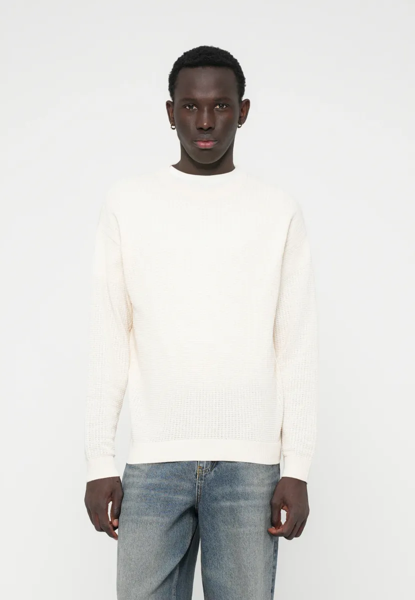 JORGREENE STRUCTURE CREW NECK - Strickpullover - sea salt