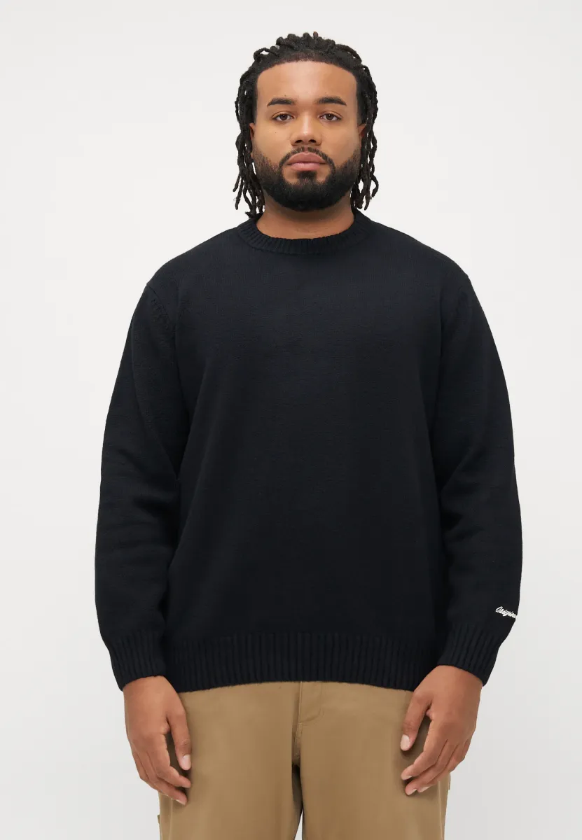 JORNORREBRO CREW NECK  - Strickpullover - black