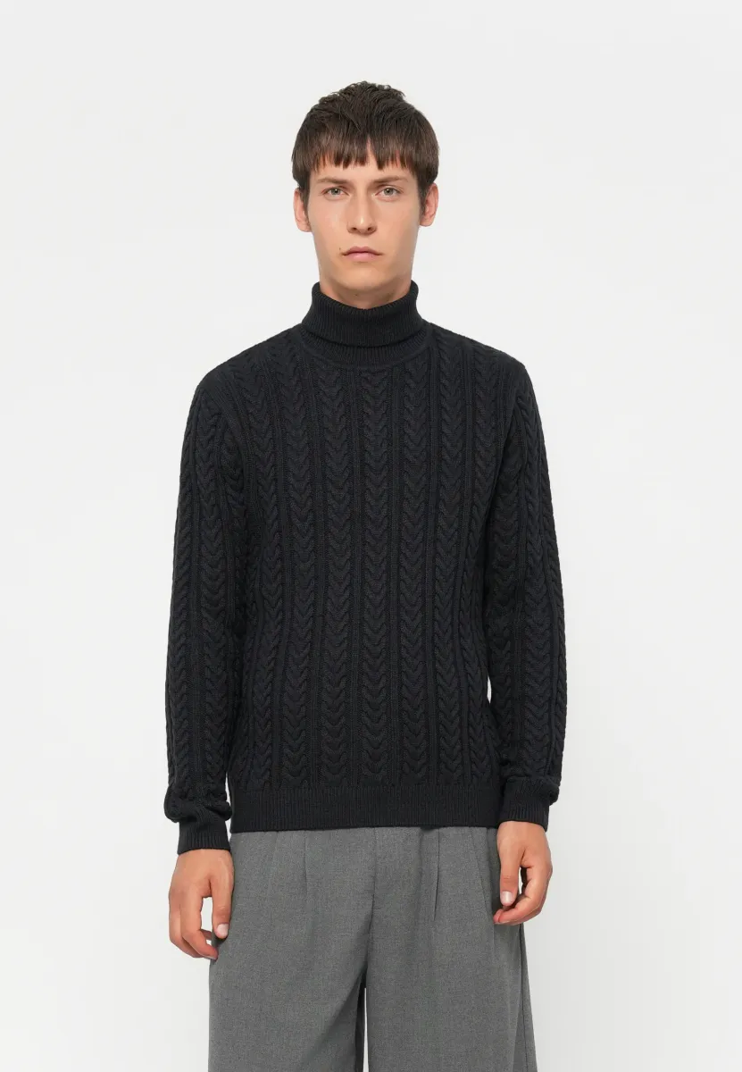 JPRBLUSEAN CABLE ROLL NECK - Strickpullover - dark navy